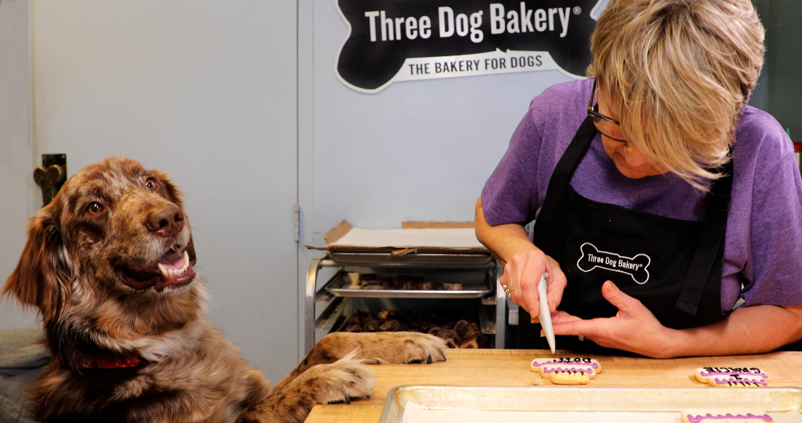 Three Dog Bakery - The Bakery for Dogs