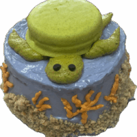 Shell-a-bration - 3" Round