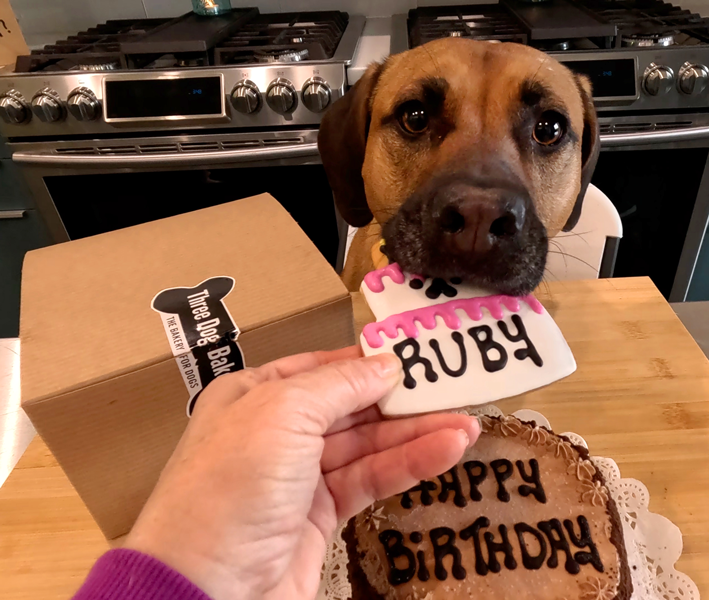 ruby-pupwell-three-dog-bakery-birthday-bonanza Birthday Cakes for Dogs