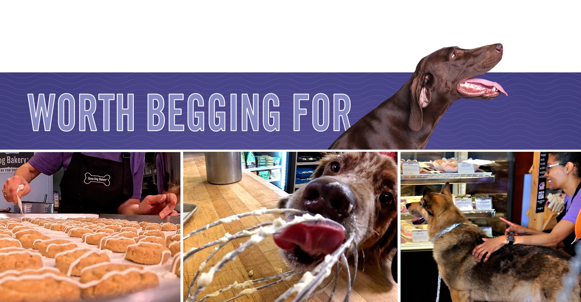 worth-begging-for-section-edited Three Dog Bakery Fresh Baked Treats for Dogs - Worth Begging For!