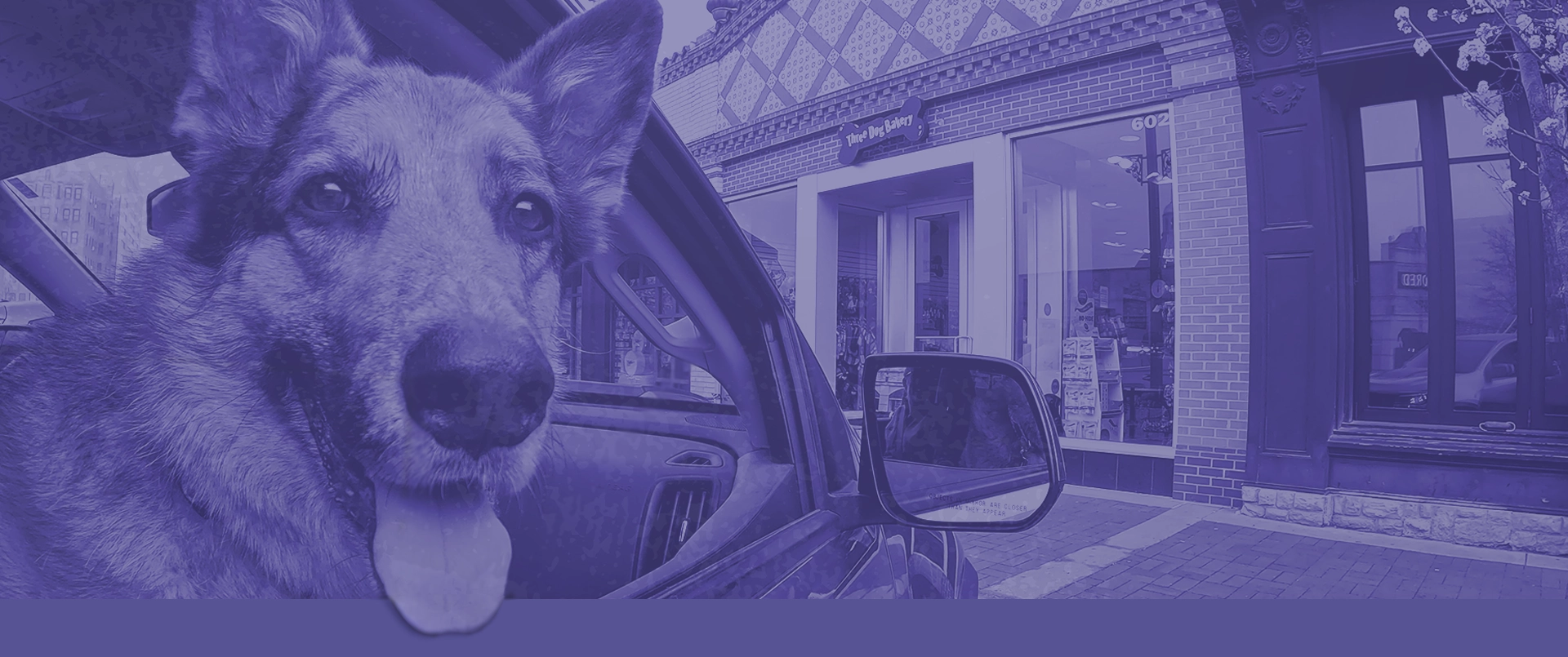 Find Three Dog Bakeries Near You - The Bakery for Dogs